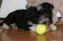 Nosey’s Photo Gallery