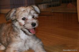 GingerBread’s Photo Gallery