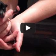 Almost 1 Week Old – Day 6